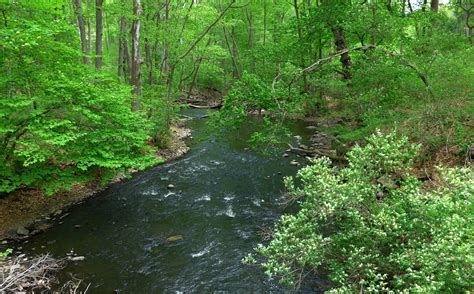 black river county park photos|black river range chester nj.